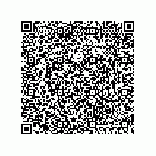 vCard 73845193129