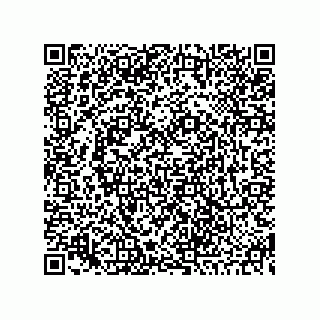 vCard 73845193205