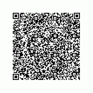 vCard 73845193384