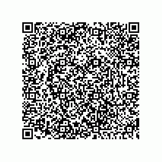 vCard 73845193385