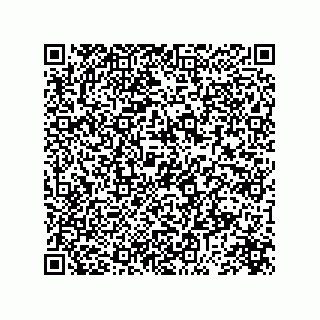 vCard 73845195133