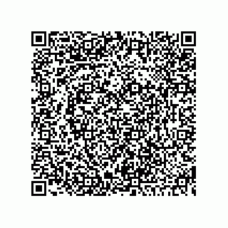 vCard 73845195199