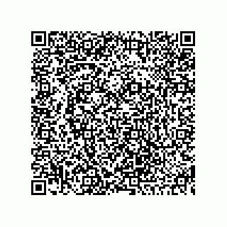 vCard 73845195251