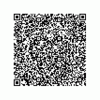vCard 73845196352