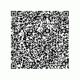 vCard 73845197287