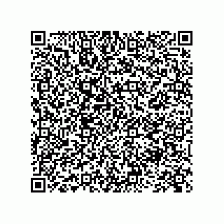 vCard 73845251809