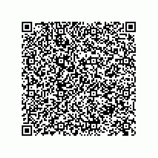 vCard 73845251900