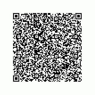 vCard 73845251919