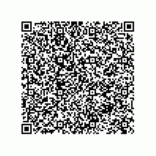 vCard 73845251968