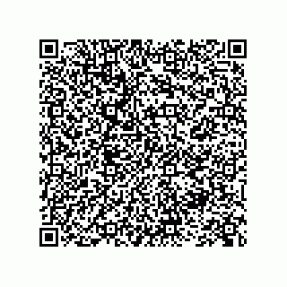 vCard 73845251987
