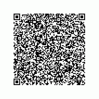 vCard 73845256313