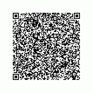 vCard 73845256315