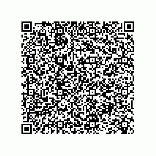 vCard 73845256333
