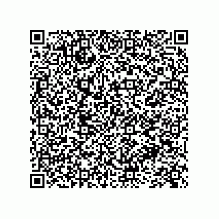 vCard 73845256335