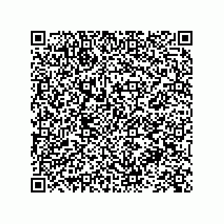 vCard 73845256353