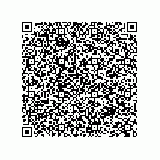 vCard 73845256381