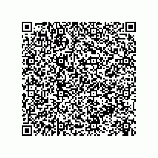 vCard 73845256387
