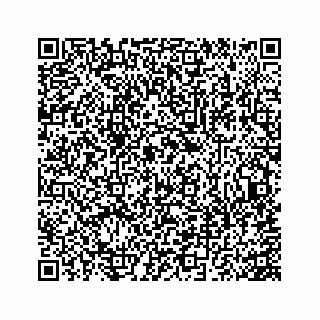 vCard 73845332039