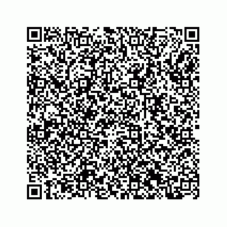 vCard 73845332339