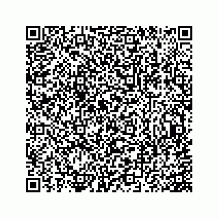 vCard 73845332736