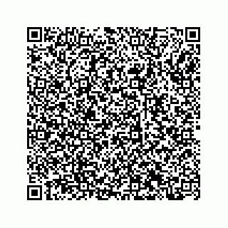 vCard 73845337679