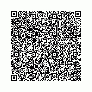 vCard 73845425338