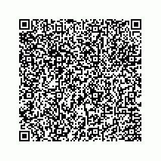vCard 73845425381