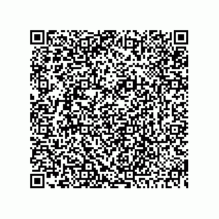 vCard 73845521061