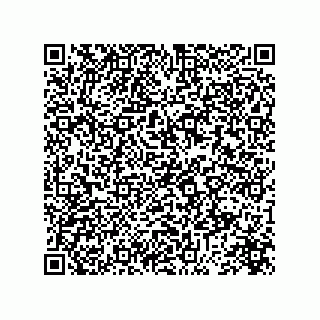 vCard 73845521295