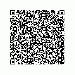 vCard 73845521311
