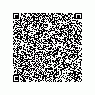 vCard 73845521333