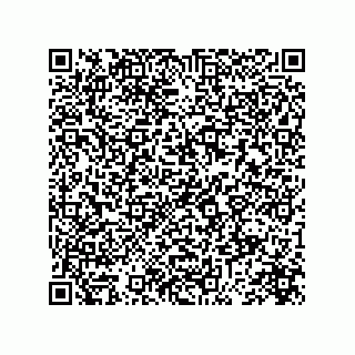 vCard 73845521381