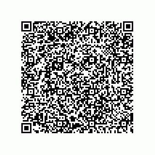 vCard 73845521383