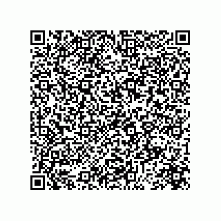 vCard 73845521387