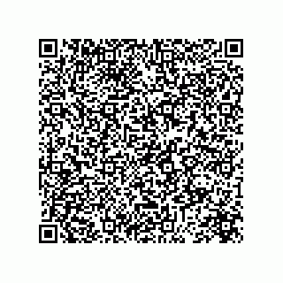 vCard 73845521398