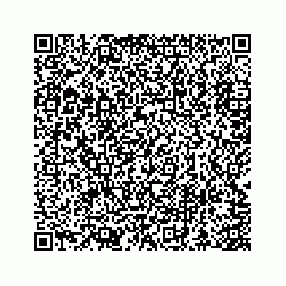 vCard 73845651079