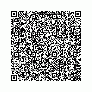 vCard 73845651132