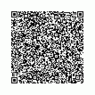 vCard 73845651208