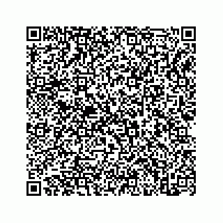 vCard 73845651274