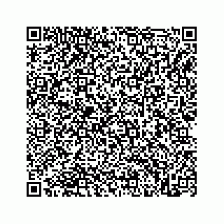 vCard 73845651298