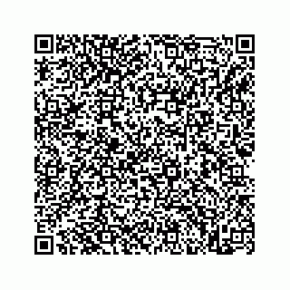 vCard 73845651299