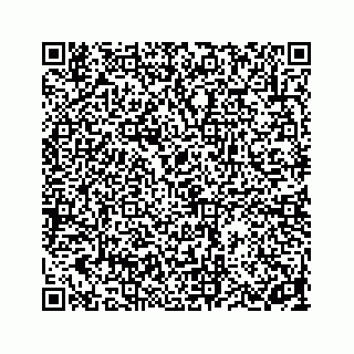 vCard 73845651328