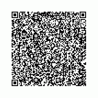 vCard 73845651333