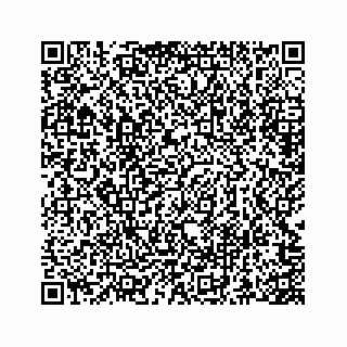 vCard 73845651334