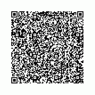 vCard 73845651335