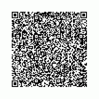 vCard 73845651353