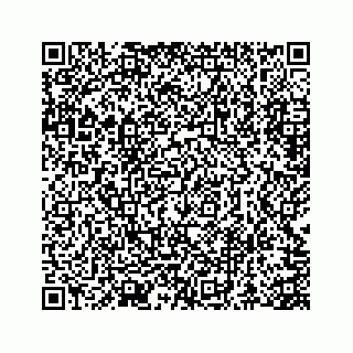 vCard 73845651371