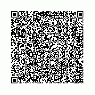 vCard 73845651379