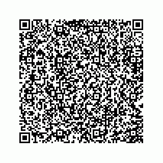 vCard 73845651380