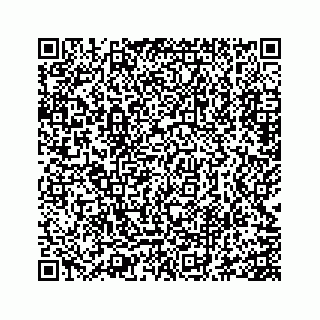 vCard 73845651381